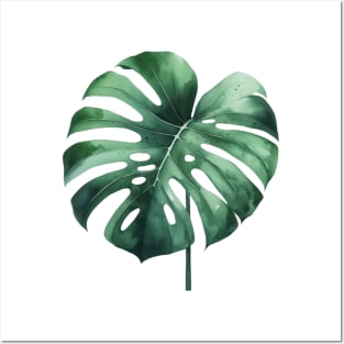 Monstera Deliciosa Watercolor Painting Posters and Art